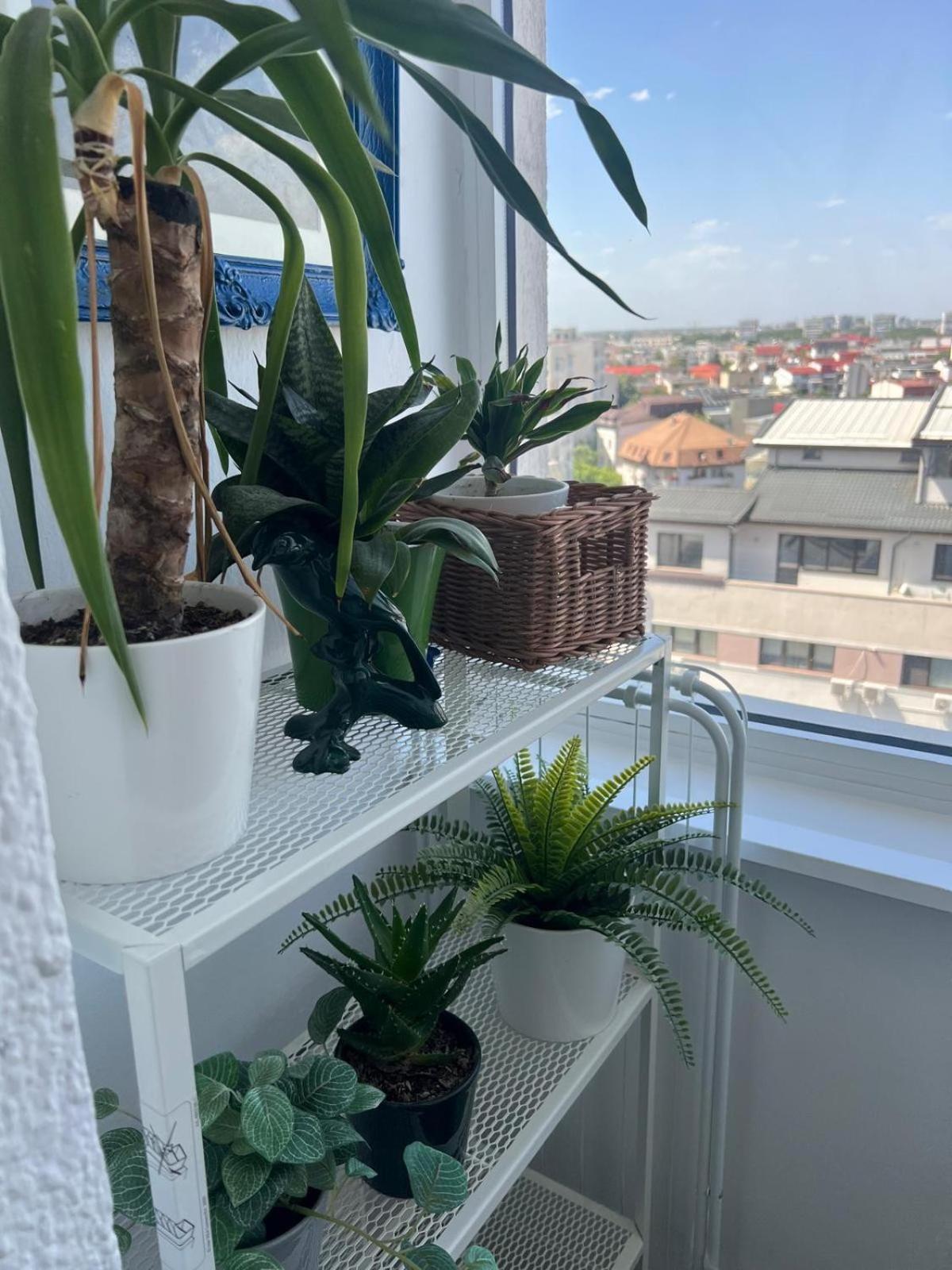1Bdr Apartment Perla 225 Bükreş Dış mekan fotoğraf